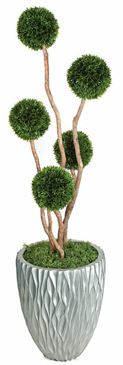 5 Foot Plastic Podocarpus Ball Topiary with 5 Balls